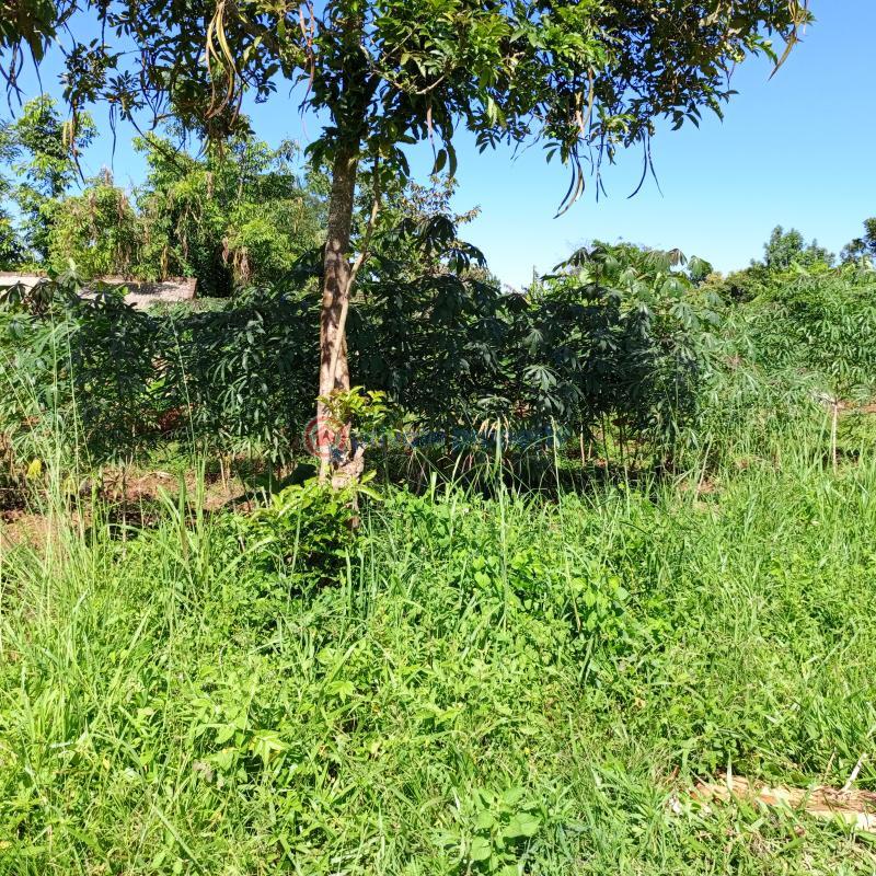 Land For Sale Busiika Gayaza Road Kampala Central (PID: 4PAAAC ...